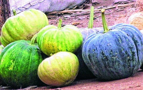 புதுக்கோட்டை: வழக்கொழியும் ‘வாசலில் பூ’ வைக்கும் கலாச்சாரம்