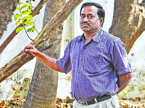 வரலாற்றின் பின் ஒரு தொடர் ஓட்டம்