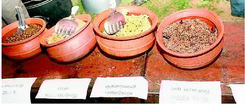 பூவுலகின் நண்பர்கள்: பாரம்பரியம் காக்க ஐம்பூதம்