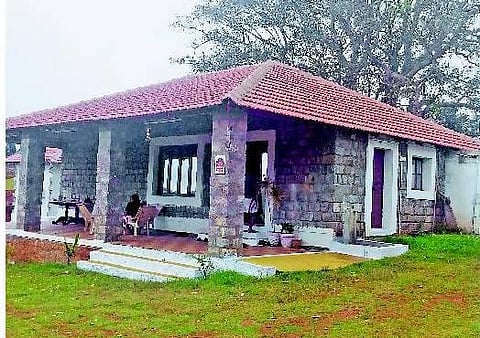 ஈரோடு: சத்தி வனத்தில் அதிகரிக்கும் கேளிக்கை விடுதிகள்; மனிதர்களால் அலறும் வனவிலங்குகள்