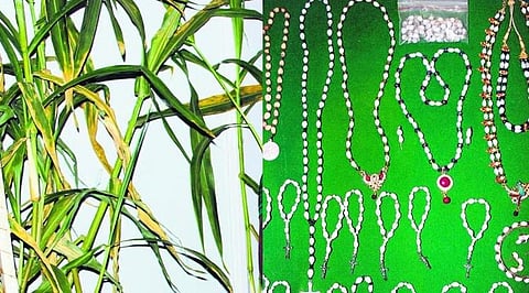 கோவை: `யோபுவின் கண்ணீர்!