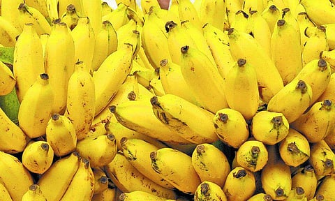 ஆற்றல் தரும் வாழைப் பழம்