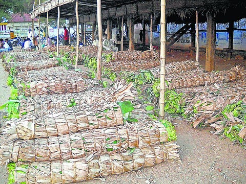 திண்டுக்கல்: தலை வாழை சாப்பாடு தலைமறைவு: பிளாஸ்டிக் பேப்பரில்தான் விருந்தோம்பல்