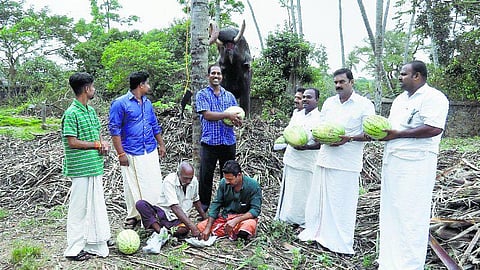 நாகர்கோவில்: போராட்டம் என்ற பெயரில் விருந்து: வி.எச்.பி. புண்ணியத்தால் பசியாறிய கோபாலன்