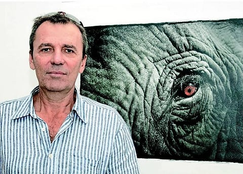 யானைகளின் ரட்சகன்