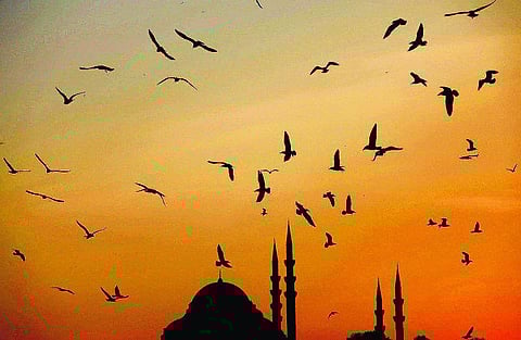 முஹ்யித்தீன்அப்துல் காதிர் ஜீலானி: மெய்நிலை கண்ட ஞானி