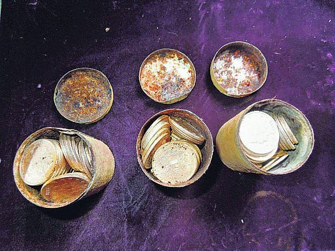 மரத்தடியில் ரூ.60 கோடி தங்கப் புதையல்: அமெரிக்க தம்பதிக்கு அதிர்ஷ்டம்