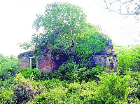 மயிலாடுதுறை அருகே சோழர் கால சிதிலமடைந்த கோயில்- இறைப் பணி திருக்கூட்டத்தார் கண்டறிந்தனர்﻿