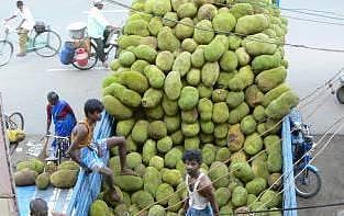 உங்க தொகுதி எப்படி இருக்கு? - பன்ருட்டி