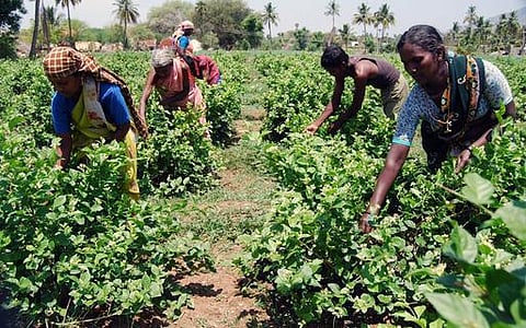 உங்க தொகுதி எப்படி இருக்கு? - வீரபாண்டி