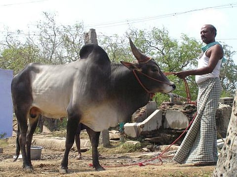 உங்க தொகுதி எப்படி இருக்கு? - காங்கயம்
