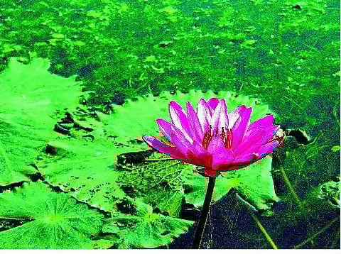 உன் விழியால் பிறர் அழுதால்