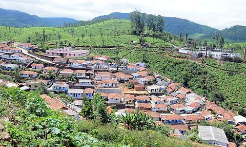 உங்க தொகுதி எப்படி இருக்கு? - வால்பாறை (தனி)