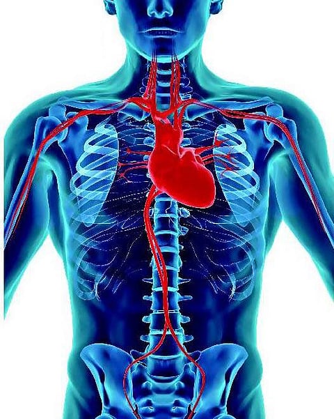 வாசகர் பக்கம்: இதயம் பேசுகிறது