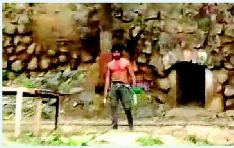 குகை பகுதியில் புகுந்த இளைஞர்: தாக்காமல் விட்ட புலிகள்﻿