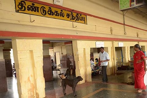 உங்க தொகுதி எப்படி இருக்கு? - திண்டுக்கல்