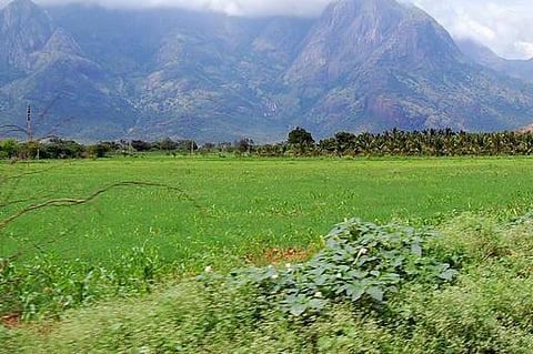 உங்க தொகுதி எப்படி இருக்கு? - போடிநாயக்கனூர்