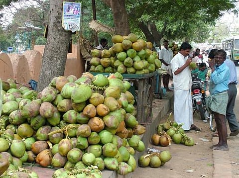 இயற்கையின் அருட்கொடை