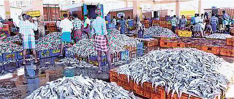 கன்னியாகுமரியில் காணாமல் போன மீனவர்களின் கதி என்ன?