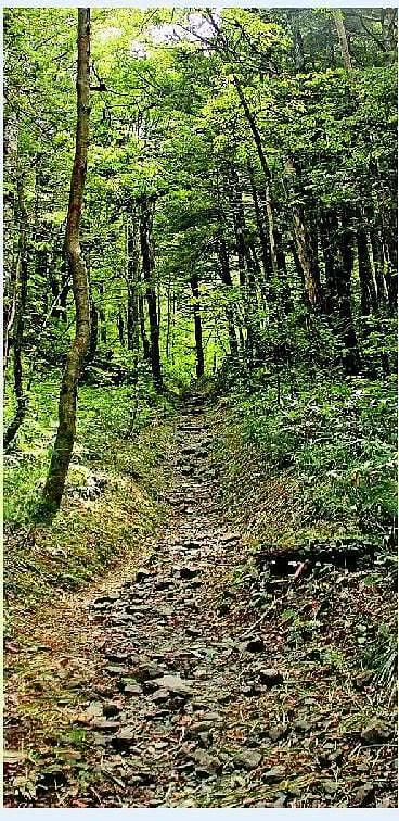 வாழ்க்கை அனுபவம்: கரடு முரடான பாடம்﻿