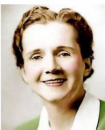 சூழலியல் முன்னோடி: சுற்றுச்சூழல் விழிப்புணர்வின் முதல் புள்ளி﻿