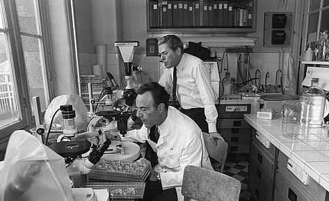 2,300 சார்ஸ் கிருமிகள் கொண்ட குப்பிகள் மாயம்:  பிரான்ஸ் ஆராய்ச்சி நிறுவனம் தகவல்