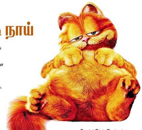 சுட்டிப் பூனை, குட்டி நாய்﻿