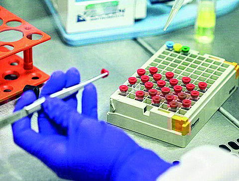 பார்மா ஏற்றுமதியில் மந்தமான வளர்ச்சி