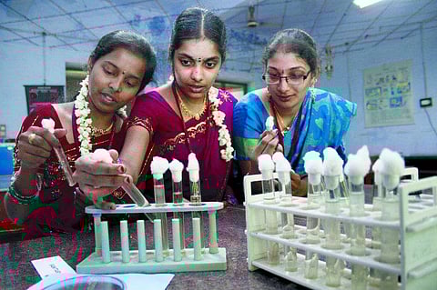 நேரடி முதுகலைப் படிப்புகள்