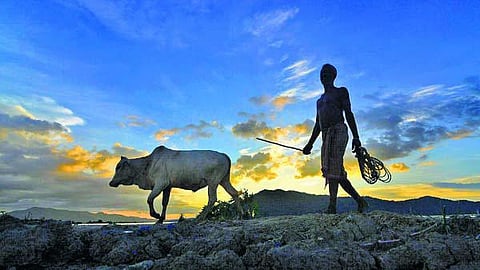 இரு கிராமங்களின் கதை﻿