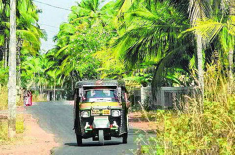 சவாரியின் வண்ணங்கள்