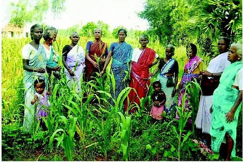 ஆதரவற்ற பெண்களுக்கு வழிகாட்டும் ‘வெளிச்சம்’ அமைப்பு﻿: சாதிக்கும் பசுமை இயற்கை விவசாயிகள் சங்கம்