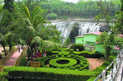 உற்சாகத்தின் பிரவாகம்