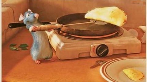 எலிக்கு வந்த சமையல் ஆசை﻿