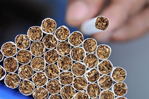 அமெரிக்கப் புகையிலைப் பண்ணைகளில் வாடும் லத்தீன் அமெரிக்க சிறார்கள்