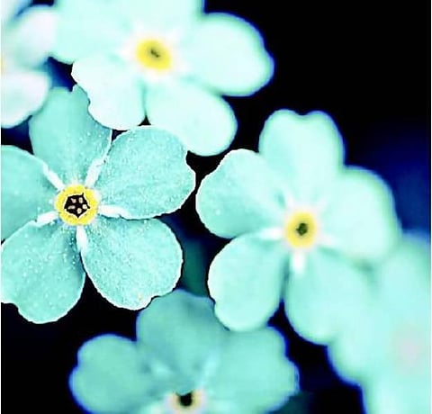 அன்பின் வழி எது?﻿