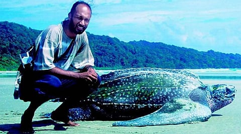 ஆராய்ச்சியாளரை உருவாக்கிய ஆமை﻿