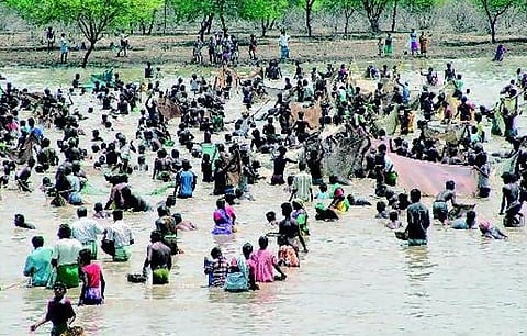 ஊர் கூடி மீன் பிடி﻿