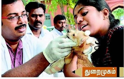வகை வகையான மருத்துவப் படிப்புகள்﻿