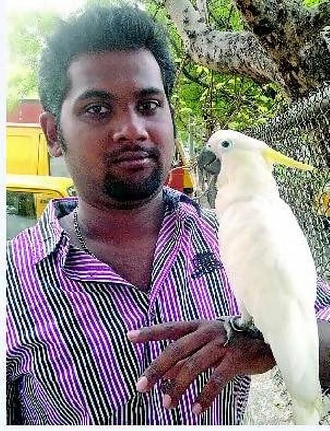 செல்லமே செல்லம்﻿