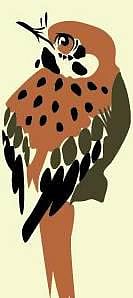 எங்கே சென்று மறைந்ததோ?