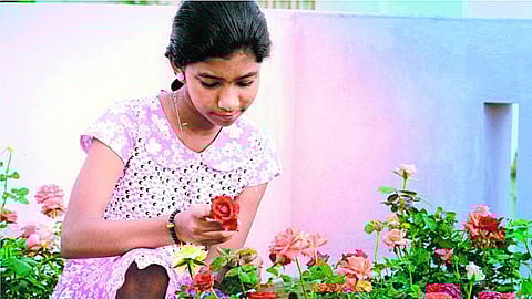 மாற்றுக் களம்: சிட்டுக்குருவி