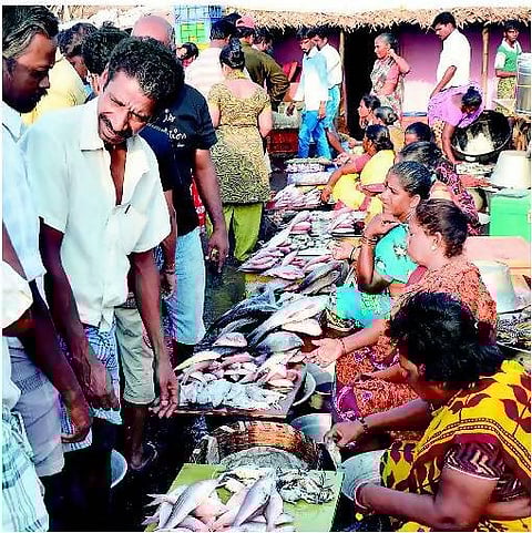மீன்பிடித் தடைக்காலம் முடிந்ததால் சிறிய மீன்களின் வரத்து அதிகரிப்பு﻿: வஞ்சிரம், இறால் மீன்கள் கிடைக்காததால் ஏமாற்றம்