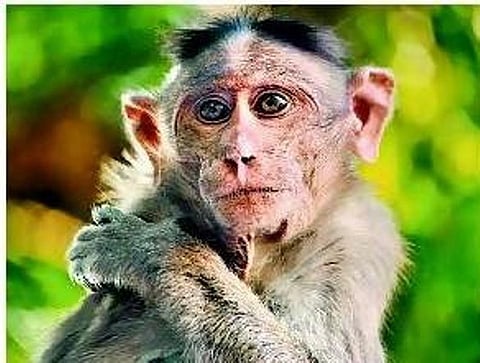 பார்த்தாலே பரவசம்