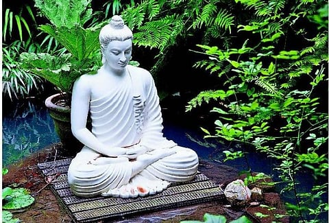 சுற்றுசூழலும் புத்தரும்