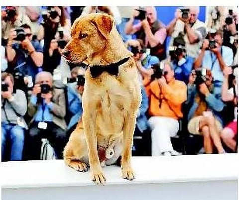 விந்தை உலகம்﻿: 96 வயதில் பட்டம் வாங்கிய பாட்டி