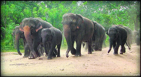 நிறைவு தரும் இயற்கை