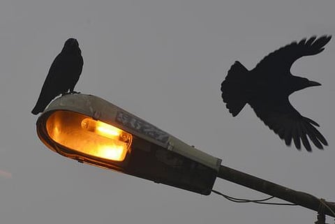 தமிழகத்தின் மின் நிலைமை: அமைச்சர் நத்தம் விசுவநாதன் விளக்கம்