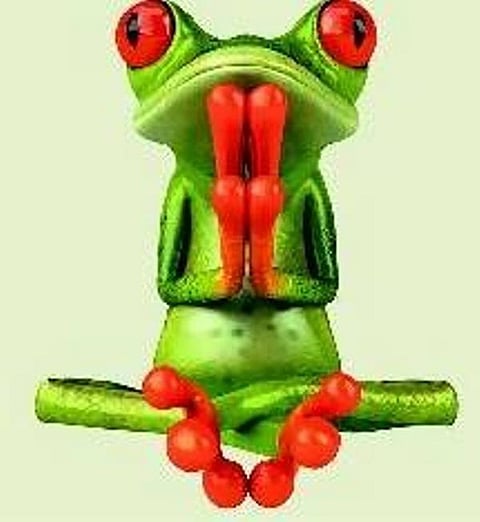 குழந்தைப் பாடல்: தவளையின் கடன்