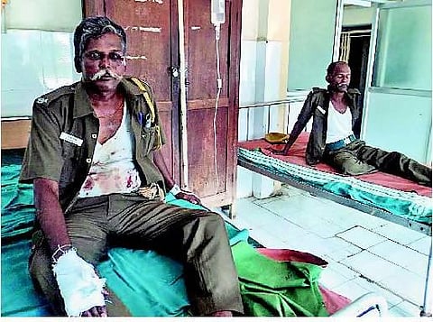 வன ஊழியர்களை கட்டிப்போட்டு சந்தன மரங்கள் கடத்தல்﻿